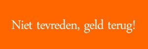 Website in één dag