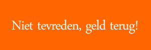 Website in één dag