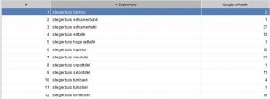 Zoekmachine optimalisatie (seo) resultaten