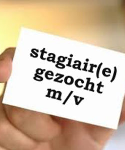 stagiaire-gezocht-online-marketing-1