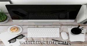 Stagiaire-Webredactie-hoh-1