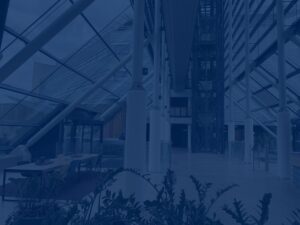 online marketing bureau